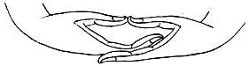 Meditation Mudra