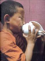 Young monk blowing the conch-shell