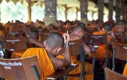 Studying monks