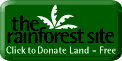 Save the Rainforests for free